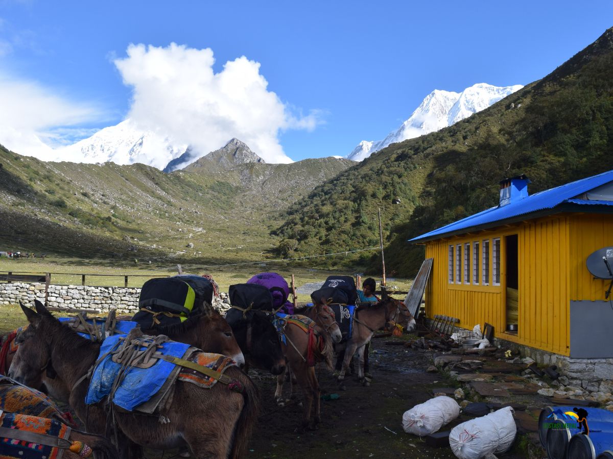 bhimthang to dharapani final day in manaslu circuit trek