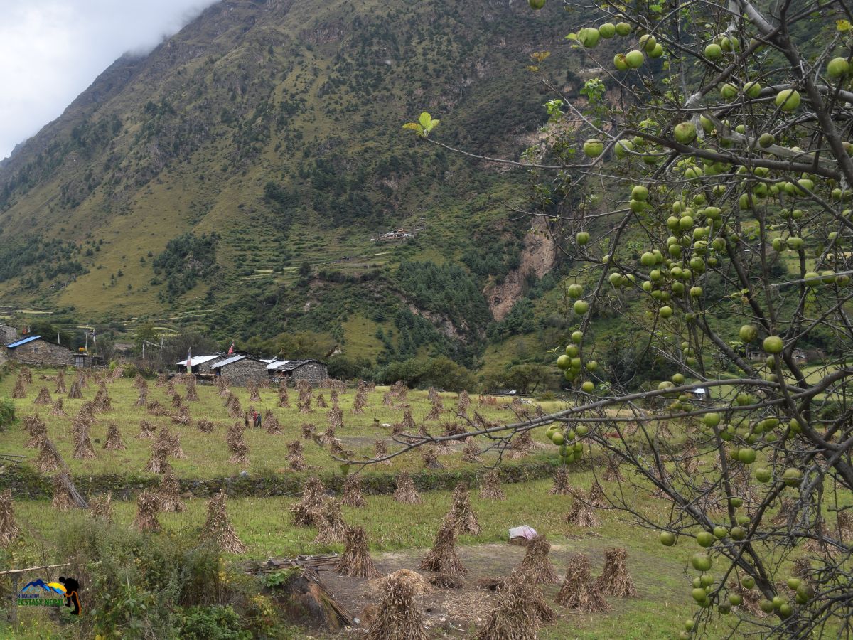 deng to namrung in manaslu circuit trek