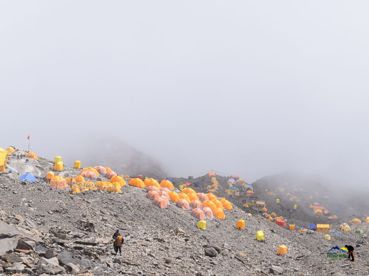 hike to manaslu base camp on manaslu circuit trek