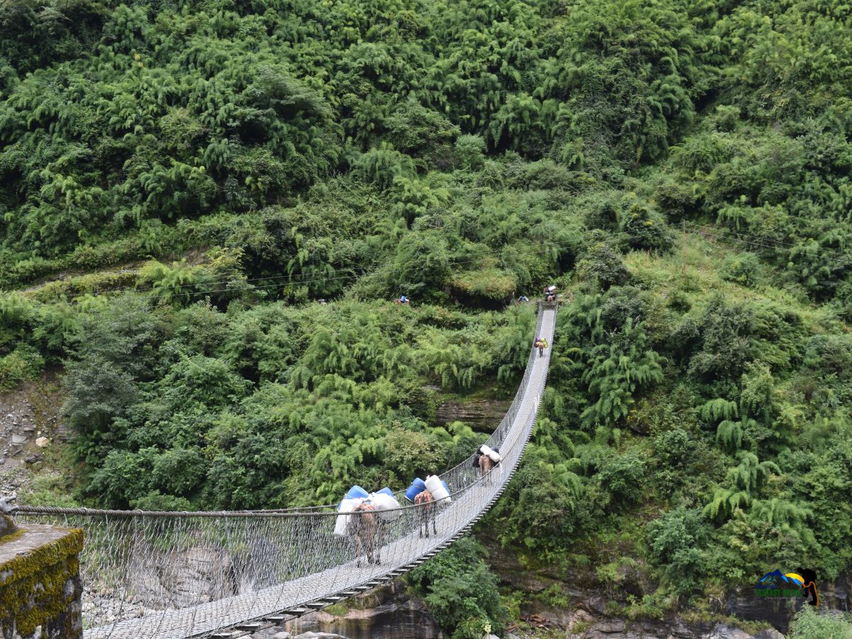 jagat to deng in manaslu circuit trek