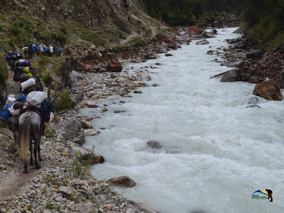 rugged adventure in manaslu circuit trek