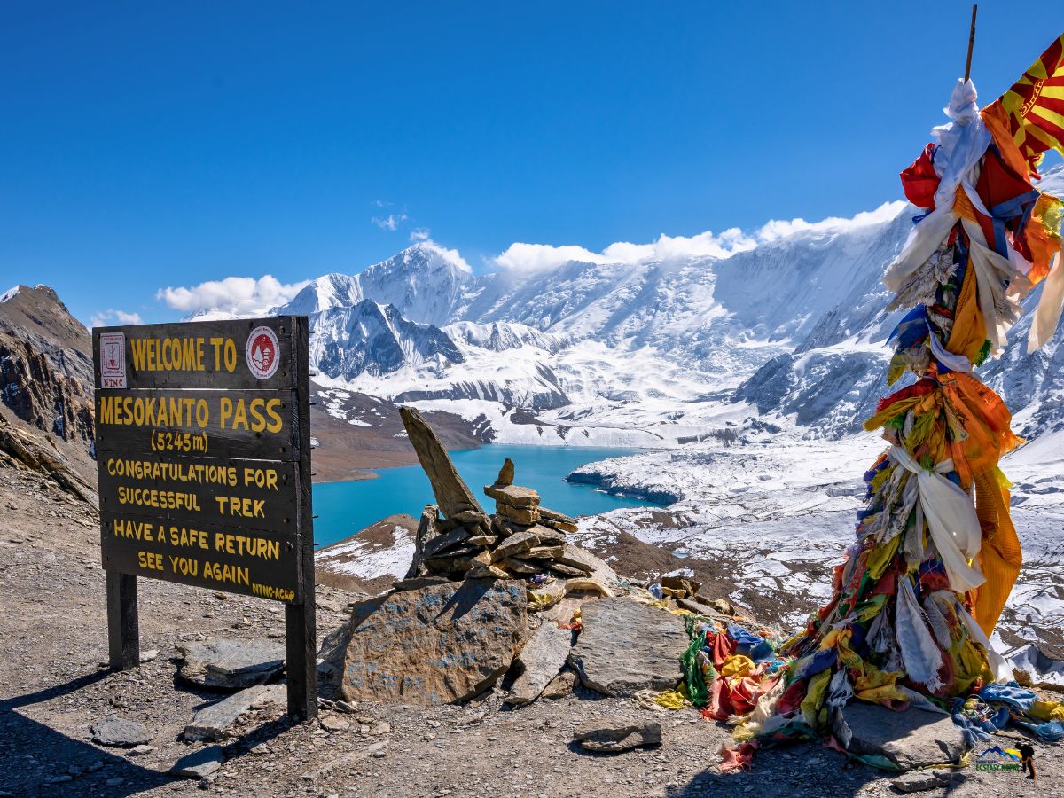 mesokanto pass board