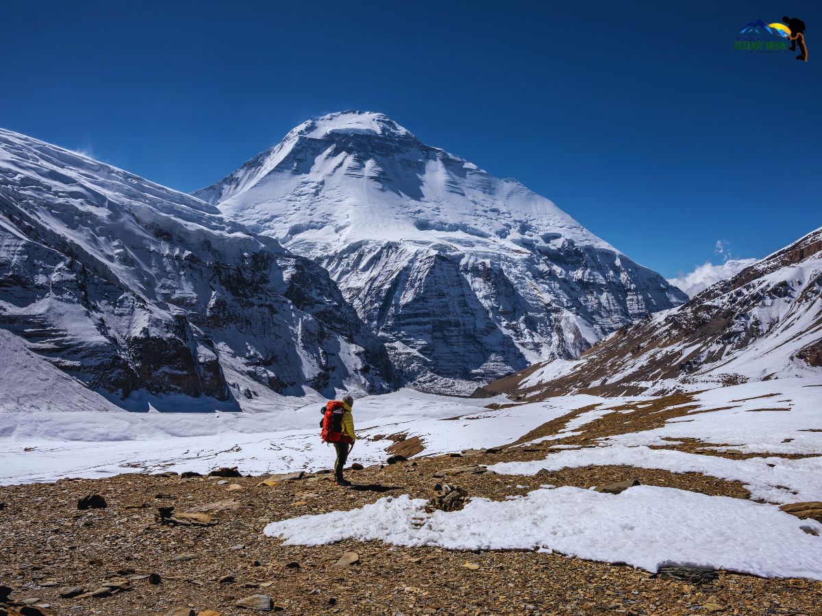 top view of french pass