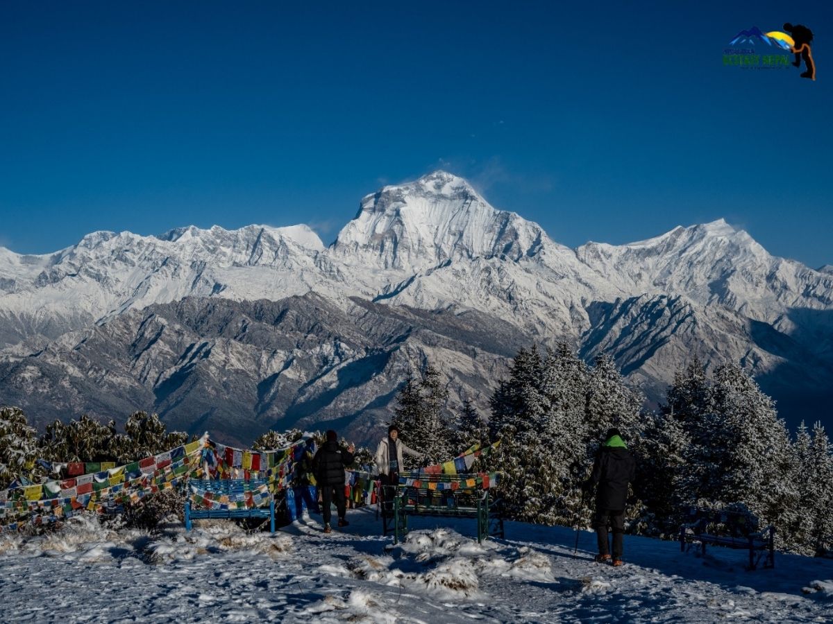 poon hill during winter