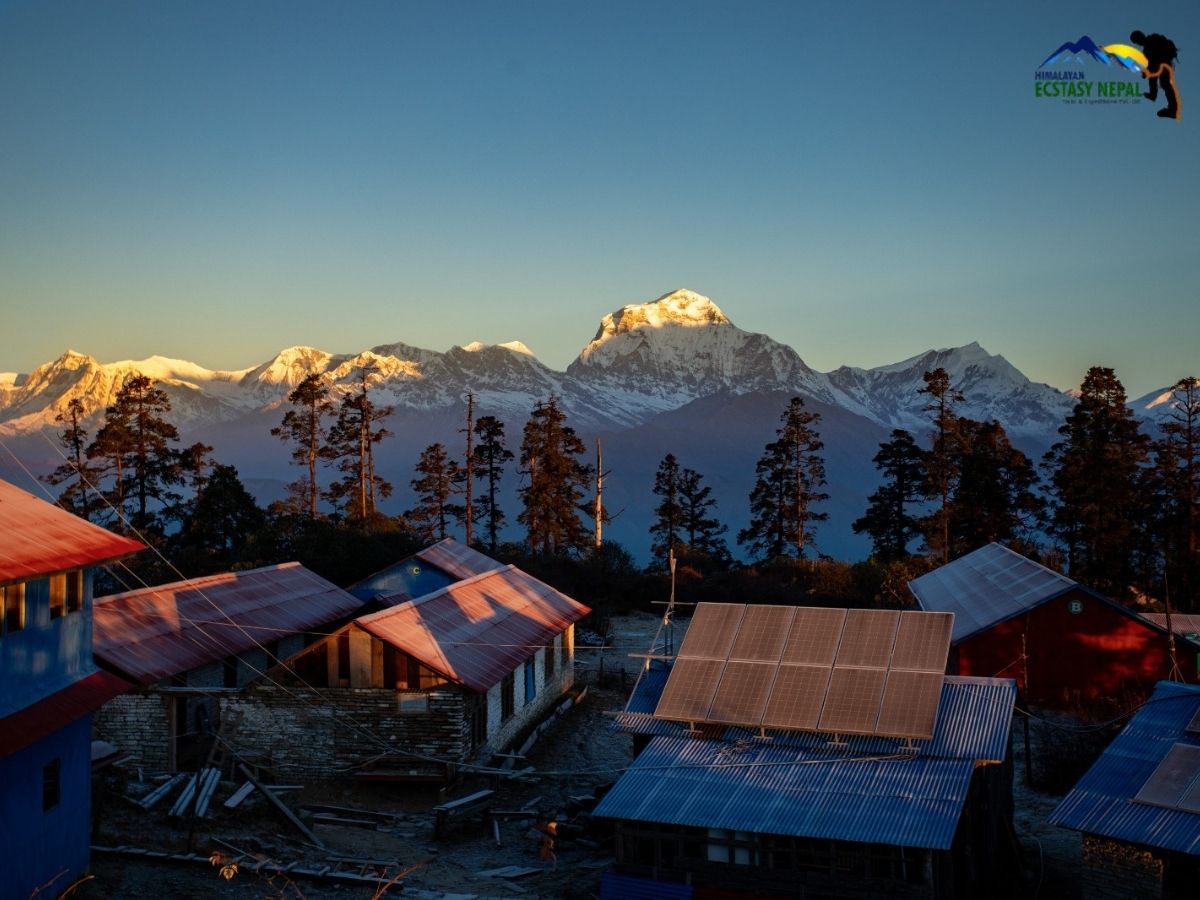 mohare danda tea house and cottage with dhaulagiri range