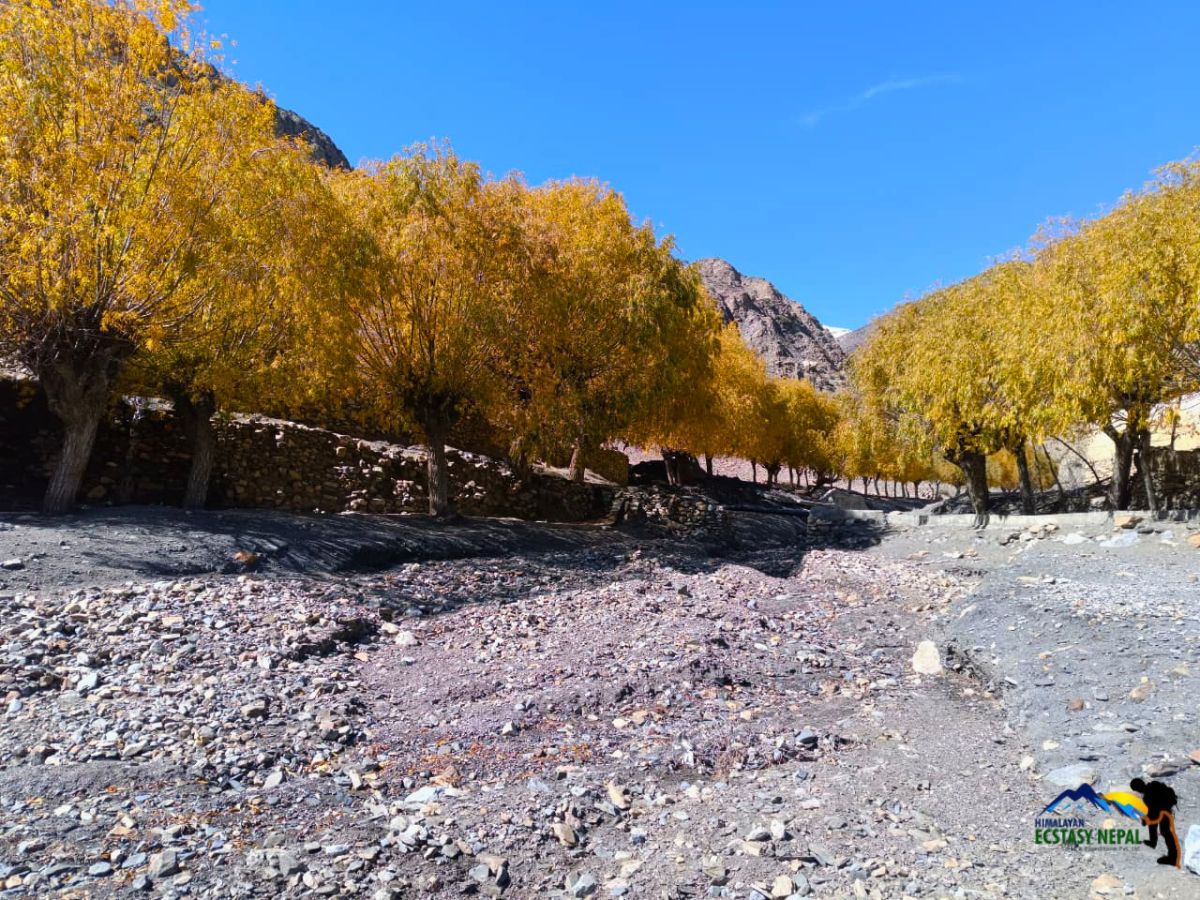 autumn in upper mustang